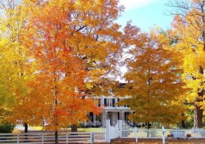 discover why why autumn is the ideal season to hire a roofing contractor company.