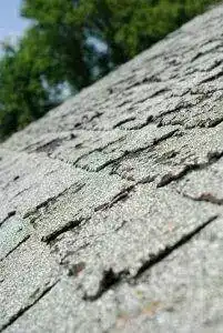 Elite Roofing Dama