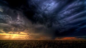 When to Report Hail Damage