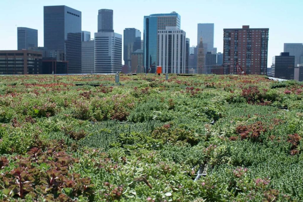 Green commercial roofing with Denver skyline in background