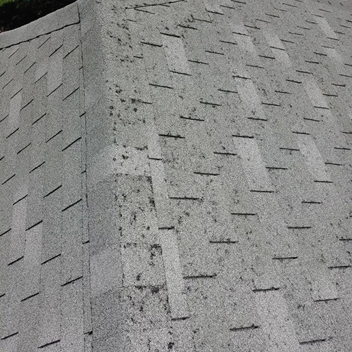 Closeโup of roof shingles inspected for winter damage prevention by Elite Roofing & Solar in Denver