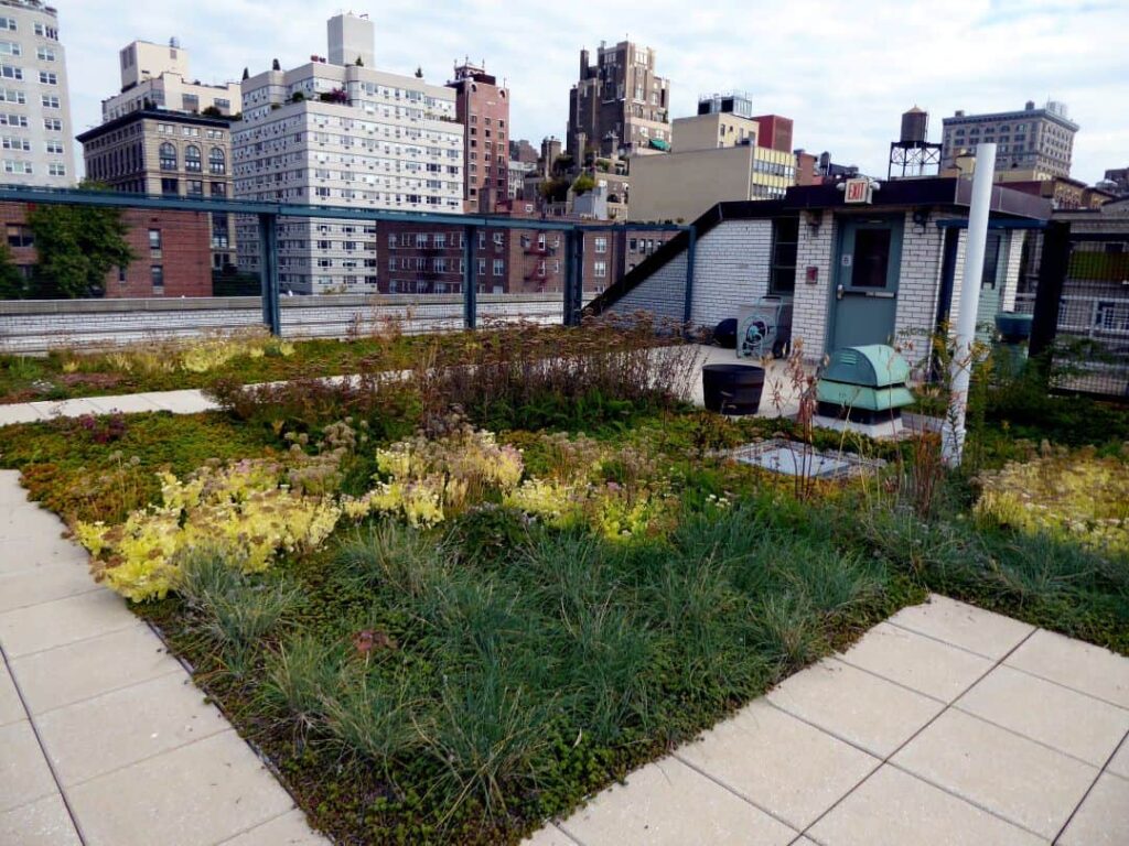 a green roof in Denver