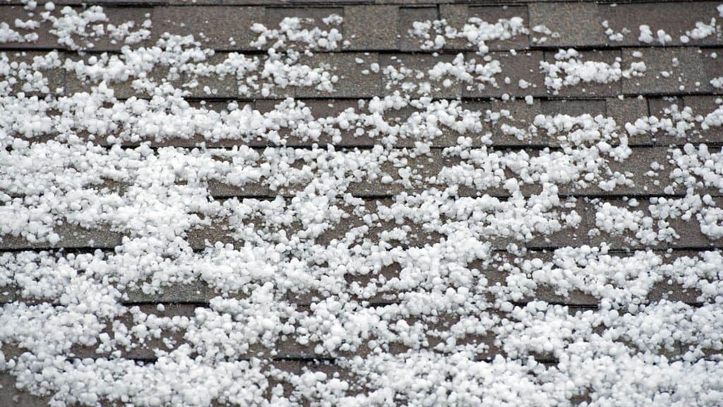A picture of a roof hail damage on a roof