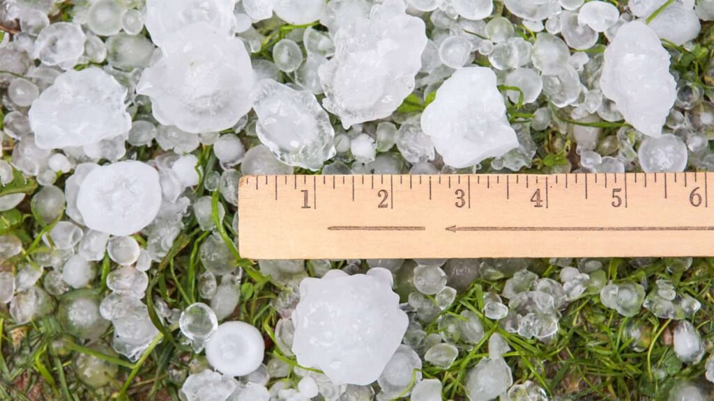 Elite Hail Blog Header