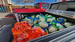 Numerous Turkey on a pick-up truck in Denver