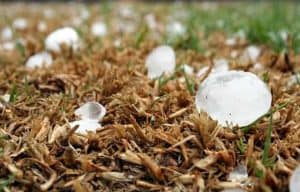 Types of Hail: When to Report Denver Hail Damage